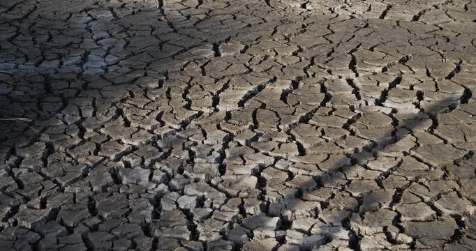 Dryness in the Camargue, France