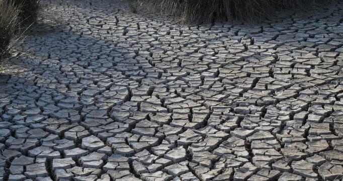 Dryness in the Camargue, France