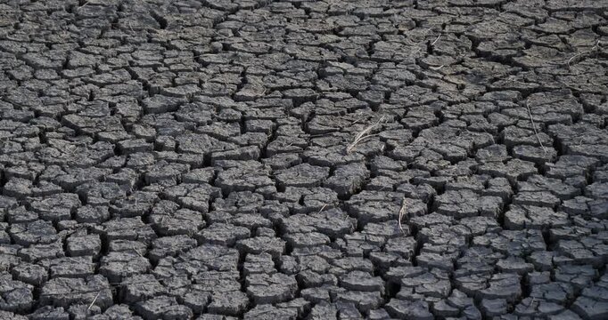 Dryness in the Camargue, France
