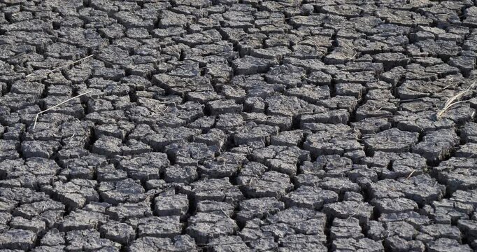 Dryness in the Camargue, France