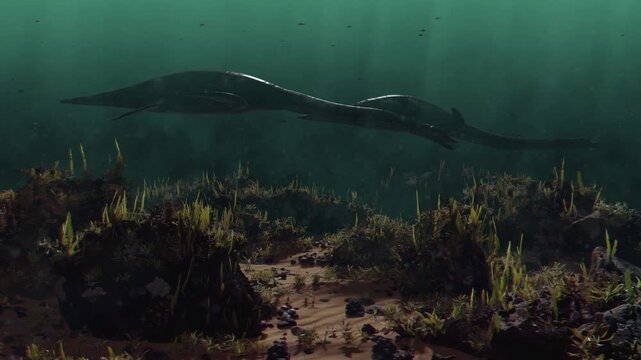 4k 3d animation of long-necked Plesiosaurs glide over a sunlit prehistoric seabed teeming with lush vegetation and ancient marine life, perfect for YouTube channels, documentaries, and educa