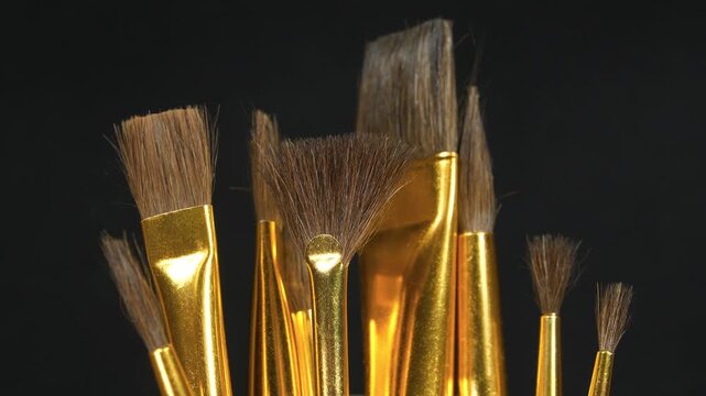 Brushes of different shapes for painting. Painting brushes with natural pony bristle. Round and flat brushes on black background. Horse hair brushes in various sizes and shapes