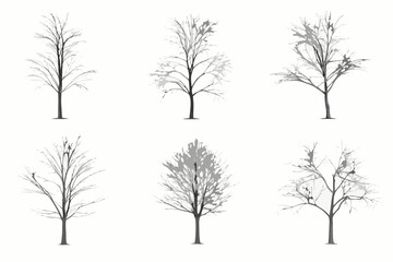 Fototapeta premium Bare tree silhouettes six variations on a white background
