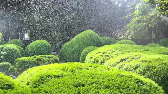Automatic tripod water sprinkler spraying mist over lush green garden bushes and trees