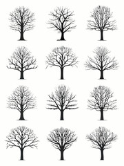 Obraz premium Bare tree silhouettes collection on a white background
