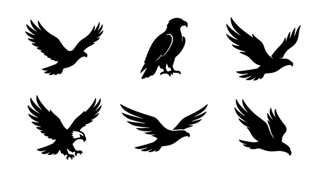 Black bird silhouettes, flying ravens, eagle icons, 6 animal graphics