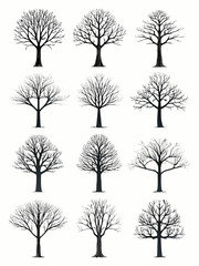 Obraz premium Bare tree silhouettes twelve variations on white background
