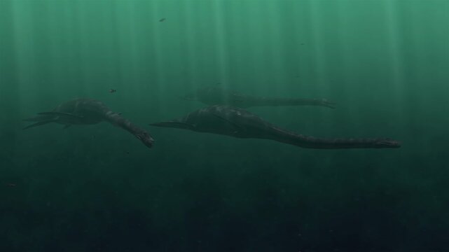 4k 3d animation of Plesiosaurs swimming in Deep ancient prehistoric ocean - Ancient Sea Monsters