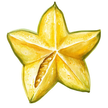 Starfruit Slice, vibrant watercolor vector illustration with flowing and detailed brush strokes, isolated on a white background.