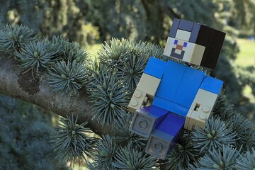 Obraz premium Minecraft action figure of smiling main character Steve in blue shirt sitting on spring branch of coniferous tree Atlas Cedar, latin name Cedrus Atlantica, hidden in shadow of higher branches. 