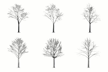 Fototapeta premium tree silhouettes collection vector illustration on white background