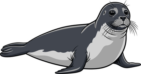 Fototapeta premium Seal stands on a white background with a friendly smile and smooth fur.