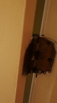 A Contractor Removes a Screw from an Old Door Hinge with Screwdriver - Vertical