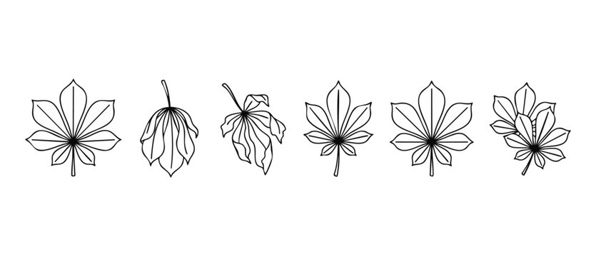 Chestnut leaves line art set, black and white botanical foliage icon collection isolated on white background, minimal vector illustration of horse chestnut leaf shapes for nature design or decor eleme