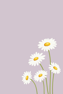 Ros&eacute;farbene Vektorgrafik mit h&uuml;bschen G&auml;nsebl&uuml;mchen. Freier Platz f&uuml;r eigenes Design.