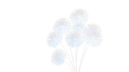 Obraz premium Delicate Blooms in Silhouette: a cluster of ethereal, fluffy blooms against a soft, airy backdrop, evoking feelings of serenity and gentleness. 