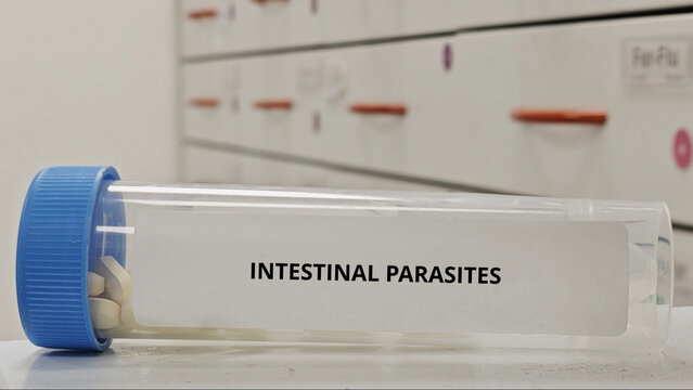 INTESTINAL PARASITES treatment tablets used to eradicate parasitic worms from digestive tract