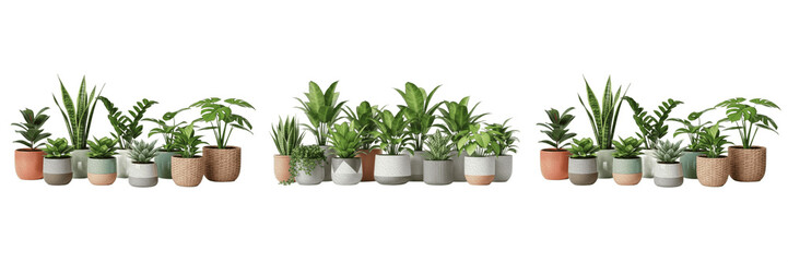 Fototapeta premium Green Potted Houseplants Collection Garden Set Isolated On High Quality Transparent Background PNG Cutout Image