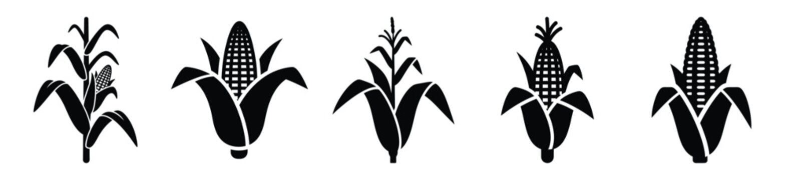 Big set of corn stalk silhouettes black icon and character. Halloween Vector icons illustration on white background.
