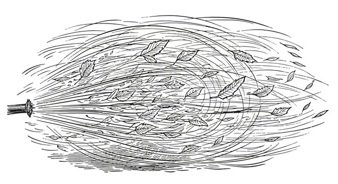 Dynamic black and white illustration of leaves scattering and swirling in a powerful gust of wind, depicting movement and natural force.