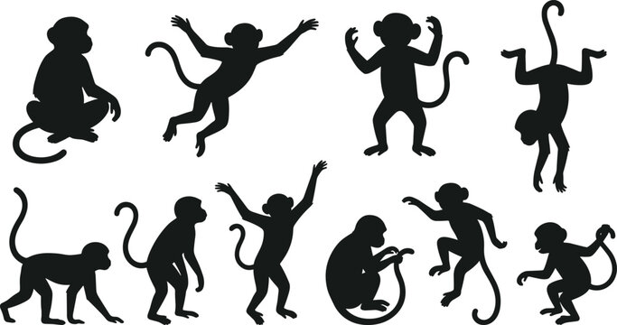 Collection of monkey silhouettes in various poses and movements on white background