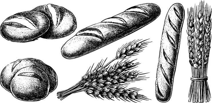 Assorted bread rolls and baguettes displayed with wheat sheaf