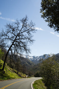 Scenic road with mountains view, national parks area. Spring, vertical travel banner