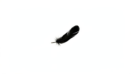 Obraz premium A single black feather floats in mid-air, perhaps dropped from above