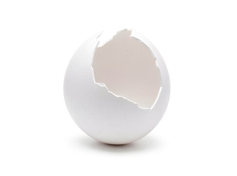 A white eggshell with a hole cracked open, revealing its contents