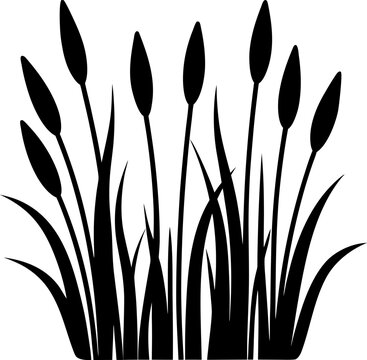 Swamp grass and bulrush black silhouette collection isolated on transparent background vector illustration for lake scenery.