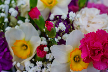 Obraz premium Bright flowers on display in a garden setting during spring season
