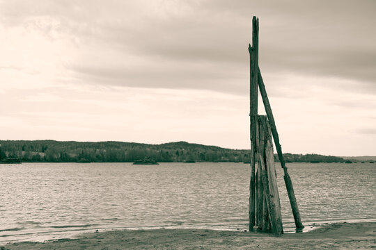Weathered Wooden Pilings on Riverbank Under Overcast Nordic Sky