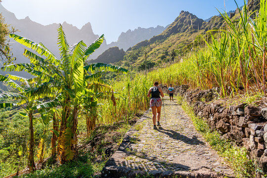 unidentified woman,path through the Paul Valley, hiking to the Vineyards Waterfall, starting from the village of Xoxo, Santo Ant&atilde;o Island