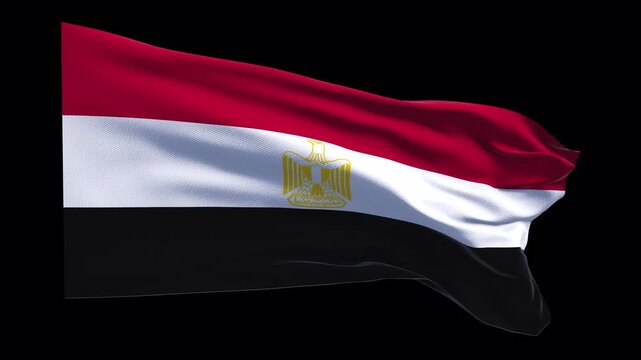 National flag of Egypt. Eagle of Saladin news broadcasts political historical content Middle Eastern geography cultural presentations travel visuals educational media digital backgrounds web banner