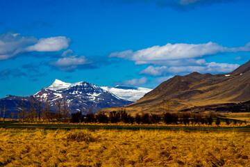 Snow-capped mountain peaks with golden hummocky field and bare trees under a cloudy blue sky in Iceland © Oleksandr Kashcheiev