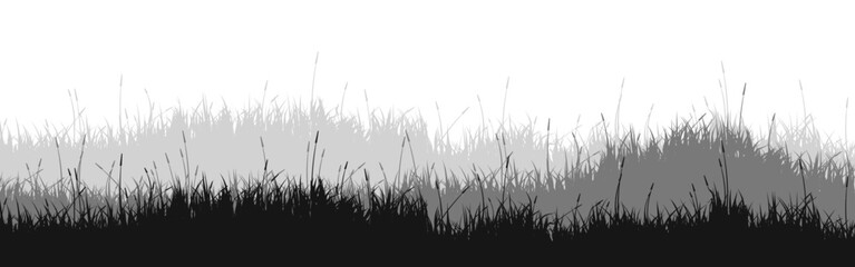 Naklejka premium Meadow silhouette with grass, plants on plain. Panoramic summer lawn landscape with herbs, various weeds. Herbal border, frame element. Black horizontal banners. Vector illustration