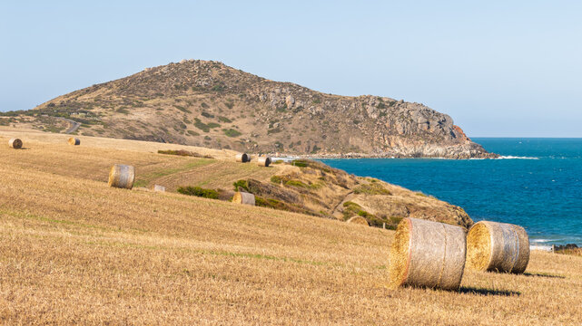 Hay bales sit in a field in front of The Bluff near Encounter Bay in South Australia