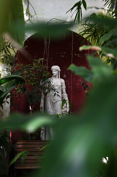 A classical white marble statue of a female figure placed in a lush indoor garden