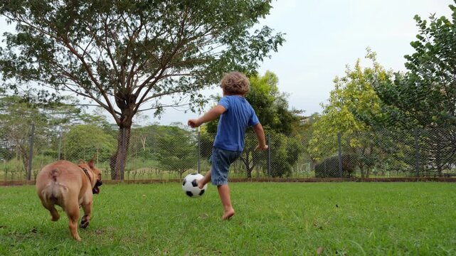 Energetic barefoot toddler runs toward soccer ball lying on grass and kicks it forward, slow-motion low-angle tracking shot. Playful young French Bulldog races in from behind, dashing ahead to chase