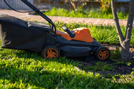 Electric lawn mower positioned beside tree trunk on grass, close-up of garden equipment during yard maintenance outdoors.