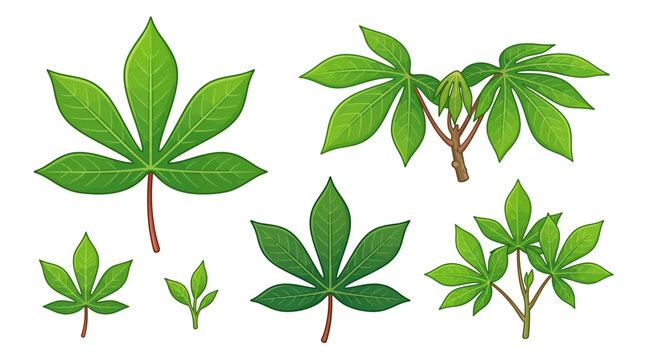 Cassava leaves vector pack featuring fresh green foliage and branches in a clean cartoon style