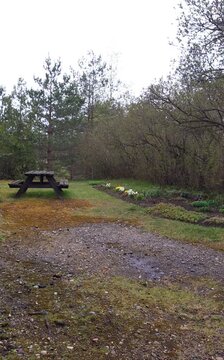 Rainfall in a spring garden with blooming flowers and a wooden picnic table