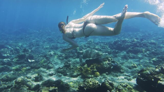 Woman snorkeling underwater with sea turtle and coral reef