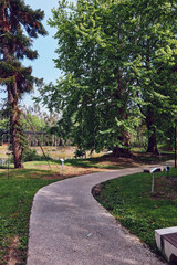 Naklejka premium Path, trees, park, grass, nature, walkway. Curved gravel path winds through a sunlit park with large leafy trees, green lawn and shaded seating creating peaceful outdoor retreat.