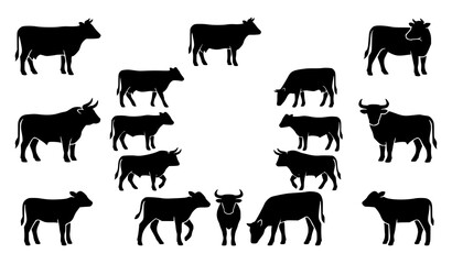 Farm cow silhouette pictogram set with calf and bull black livestock animal icons modern vector collection © HoriProshad