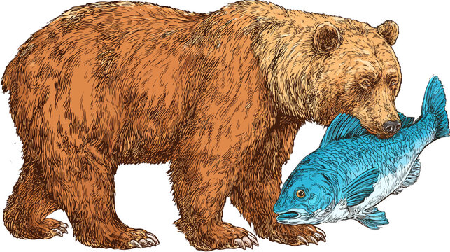 A large, brown, furry animal stands, holding a blue fish in its mouth. Detailed sketch