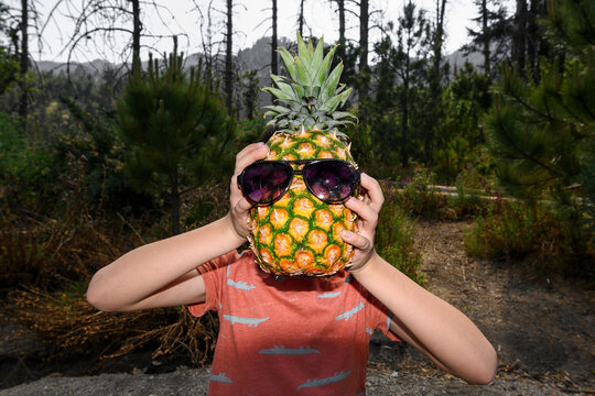 Funny young boy holding a pineapple with sunglasses over his face, creative summer concept in nature.