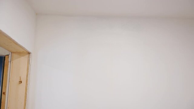 Worker painting wall with brush roller under the ceiling. Interior renovation and home improvement process