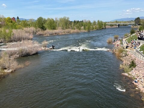 River surfer at Brennan's Wave on Missoula's Clark Fork River at Caras Park.  
