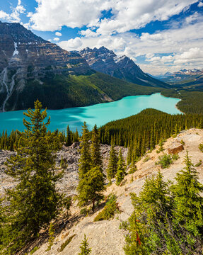 Peyto Lake, Banff National Park, Alberta, Canada